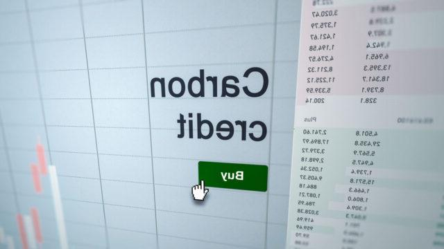 在电脑屏幕上分析碳信用etf基金